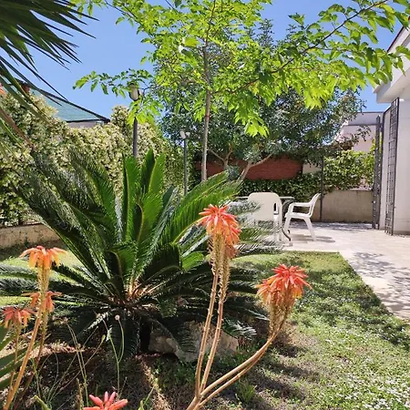 Terra Dei Plautii * Pulsano